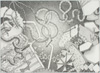 Untitled 1991 no.1d