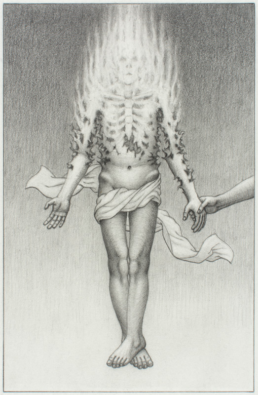 Fever of Life